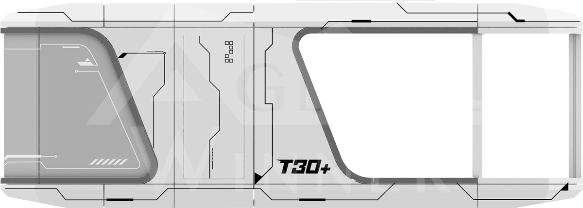 T30+-(2)-.jpg